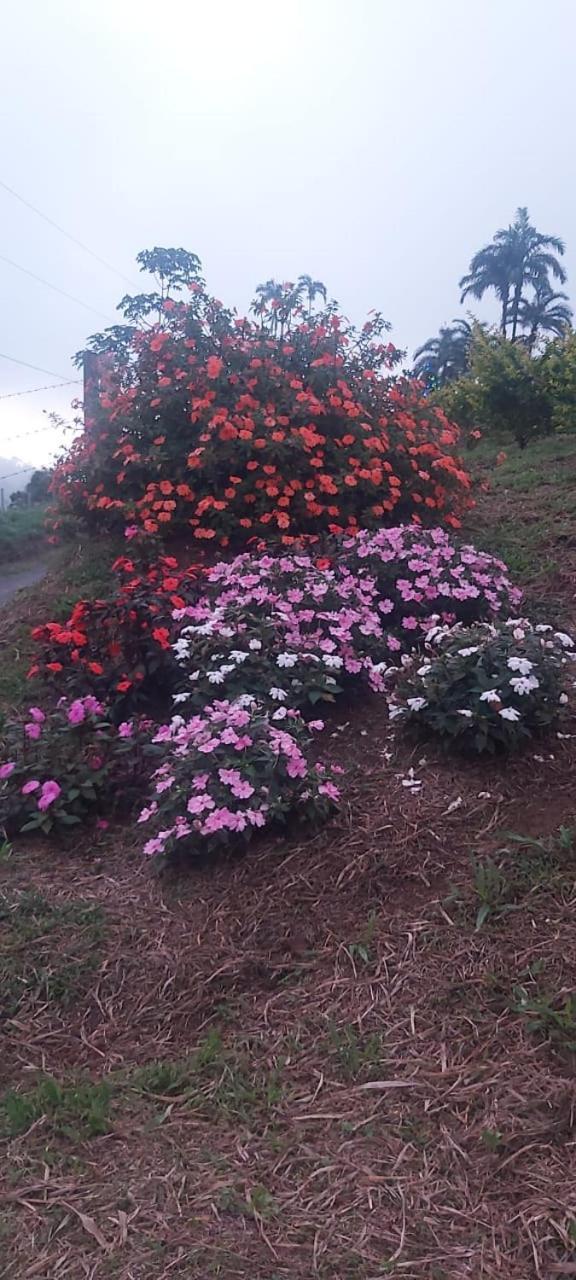 El Rincon De Las Flores Bajo Tigre Luaran gambar