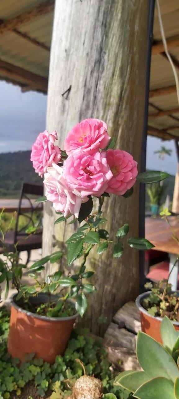 El Rincon De Las Flores Bajo Tigre Luaran gambar